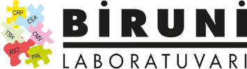 Biruni Akademi